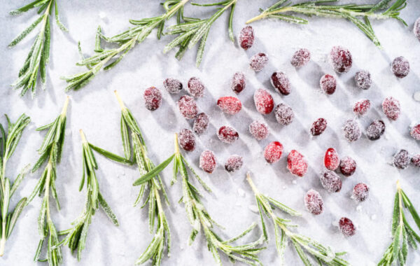 Covering fresh cranberries and rosemary in sugar to decorate chocolate bundt cake with chocolate frosting.