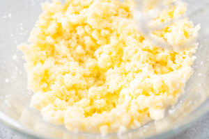Lemon cranberry bundt cake - Arina Photography Mixing ingredients in a glass mixing bowl to prepare lemon cranberry bundt cake.