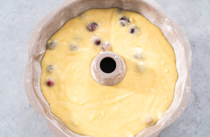 Lemon cranberry bundt cake - Arina Photography Cake batter in bundt cake pan ready for baking.