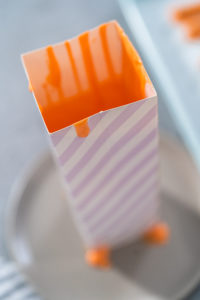 Carrot Chocolate Covered Pretzels - Arina Photography