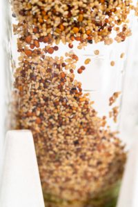 Day 3. Growing organic sprouts in a mason jar with sprouting lid on the kitchen counter.