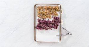 Day 6. Flat lay. Drying freshly harvested organic sprouts on a baking sheet lined with a paper towel.