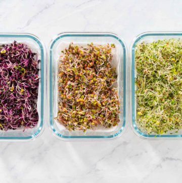 Day 6. Flat lay. Packaging freshly harvested organic sprouts into a glass container lined with paper towels.