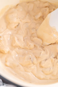 Chicken alfredo pasta - Arina Photography