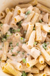 Chicken alfredo pasta - Arina Photography