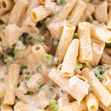 Chicken alfredo pasta - Arina Photography