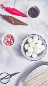 Marshmallow snowman and reindeer on sticks - Arina Photography