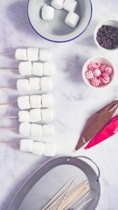Marshmallow snowman and reindeer on sticks - Arina Photography
