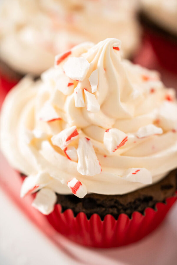 Chocolate peppermint cupcakes - Arina Photography