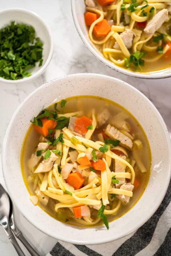 Chicken Noodle Soup - Arina Photography