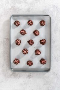 Chocolate cookies with peppermint chips - Arina Photography