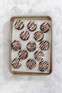 Chocolate cookies with peppermint chips - Arina Photography