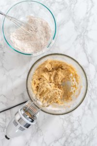 Eggnog Cookies - Arina Photography