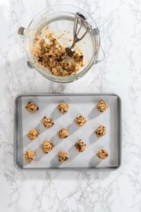 Soft Oatmeal Raisin Walnut Cookies - Arina Photography