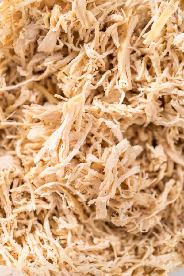 Shredded chicken - Arina Photography