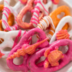 Gourmet Chocolate Covered Pretzel Twist - Arina Photography