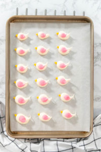 Easter Meringue Cookies - Arina Photography