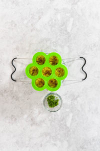 Egg bites - Arina Photography