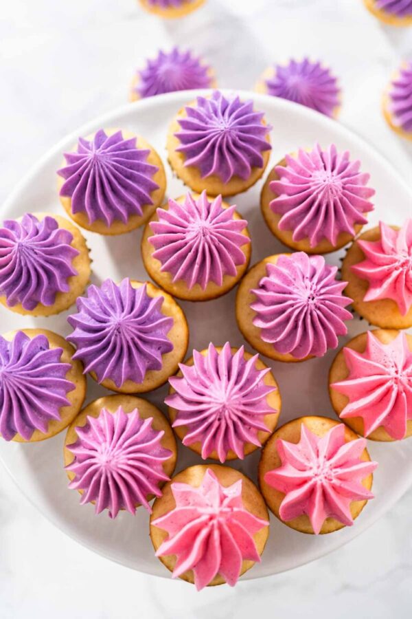 Mini Vanilla Cupcakes with Pink Buttercream Frosting - Arina Photography
