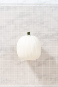 Panda Pumpkin - Arina Photography