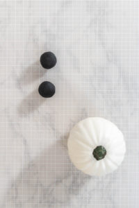 Panda Pumpkin - Arina Photography