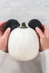 Panda Pumpkin - Arina Photography