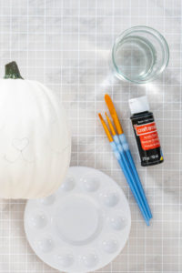 Panda Pumpkin - Arina Photography