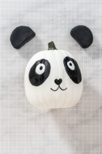 Panda Pumpkin - Arina Photography