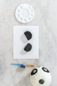 Panda Pumpkin - Arina Photography