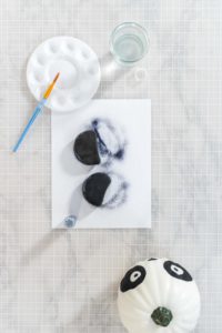 Panda Pumpkin - Arina Photography