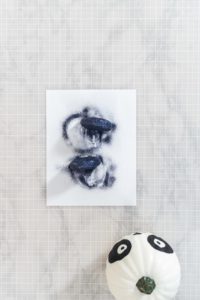 Panda Pumpkin - Arina Photography