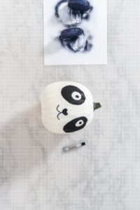 Panda Pumpkin - Arina Photography