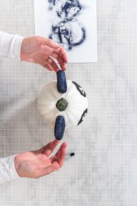 Panda Pumpkin - Arina Photography