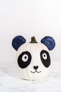 Panda Pumpkin - Arina Photography