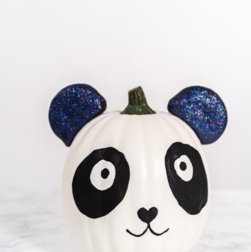 Panda Pumpkin - Arina Photography