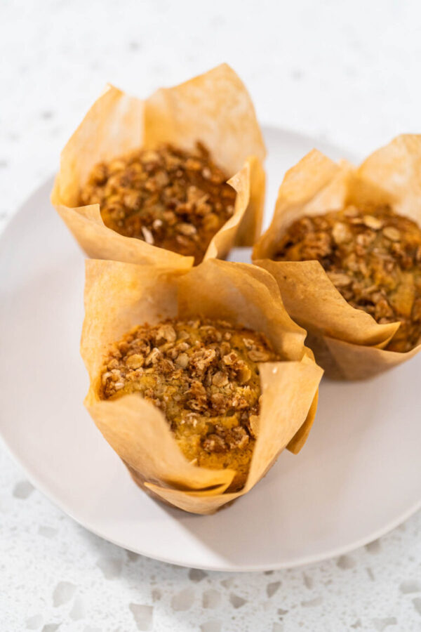 Banana oatmeal muffins - Arina Photography