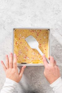 Homemade candy cane fudge - Arina Photography