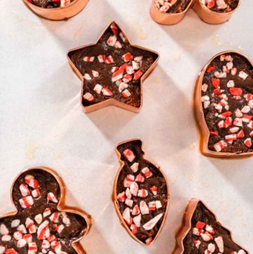 Christmas cookie-cutter peppermint fudge - Arina Photography