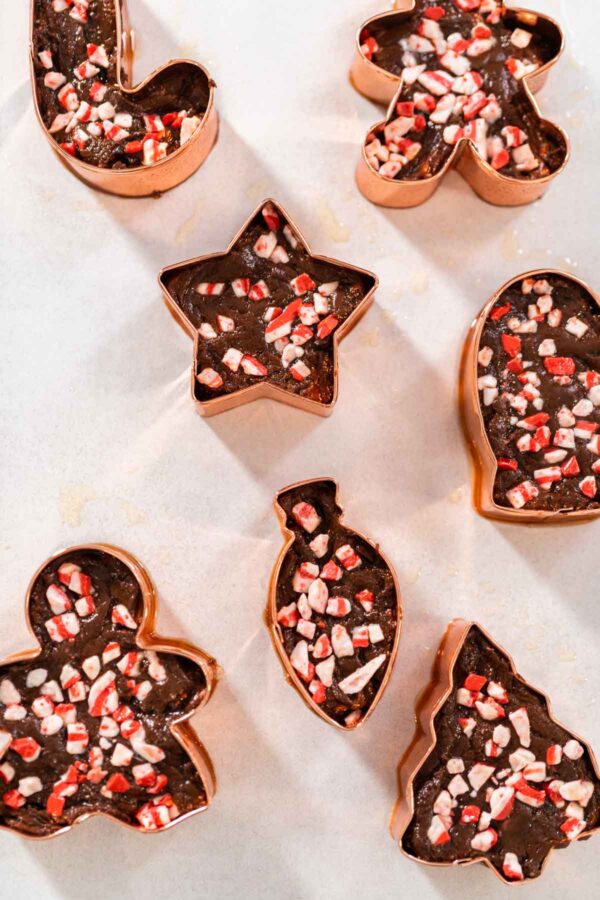 Christmas cookie-cutter peppermint fudge - Arina Photography