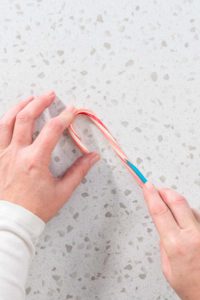 Peppermint Candy Cane - Arina Photography