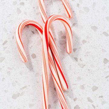 Peppermint Candy Cane - Arina Photography
