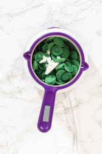 Delicious cactus cake pops for Cinco de Mayo celebration - Arina Photography