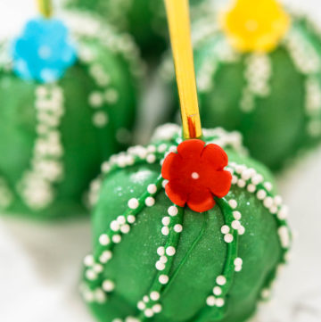 Delicious cactus cake pops for Cinco de Mayo celebration - Arina Photography