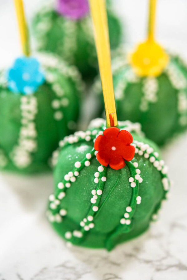 Delicious cactus cake pops for Cinco de Mayo celebration - Arina Photography