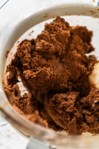 Chocolate Gingerbread Cookie Dough for Holiday Baking - Arina Photography