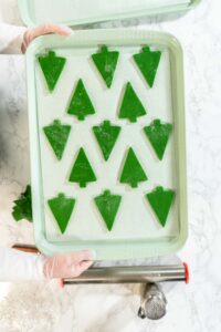 Festive Green Gingerbread Cookies for Holiday Baking - Arina Photography