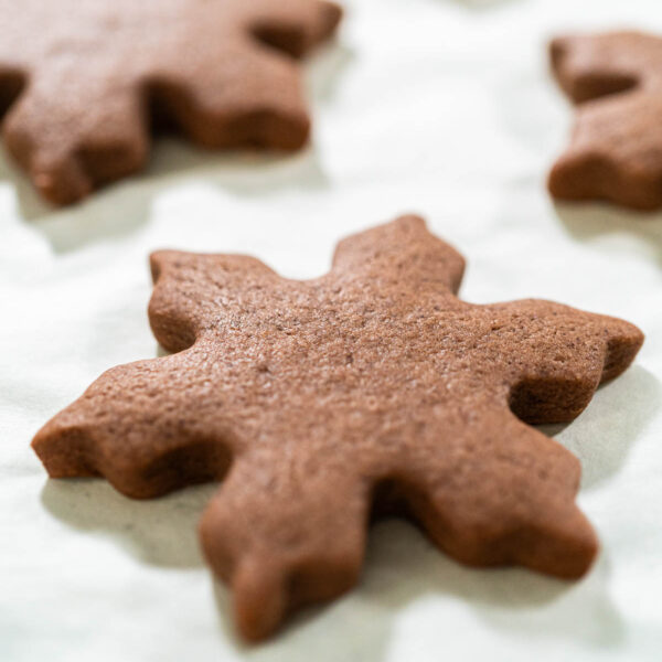 Chocolate Ginger Sugar Cookies in Snowflake Shapes A Festive Tre - Arina Photography Close-up side view of a single baked Chocolate Ginger Sugar Cookie in the shape of a snowflake, resting on parchment paper.