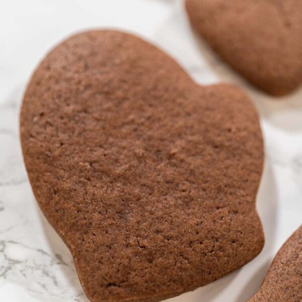Pale Gingerbread Cookies a festive holiday treat crafted step by - Arina Photography