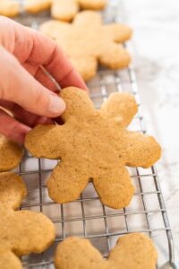 Step by step preparation of Amber Gingerbread Cookies from dough - Arina Photography