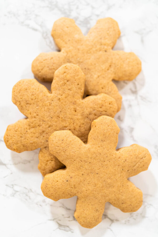 Step by step preparation of Amber Gingerbread Cookies from dough - Arina Photography